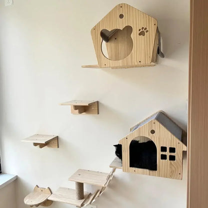 Cat houses and steps on a wall