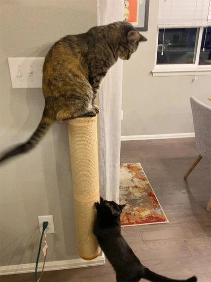 Two cats using the scratching post