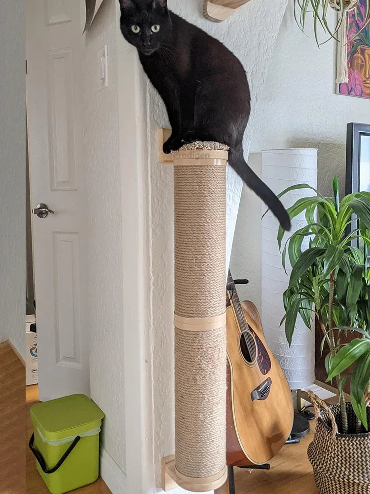 Cat climbing the extra-long post