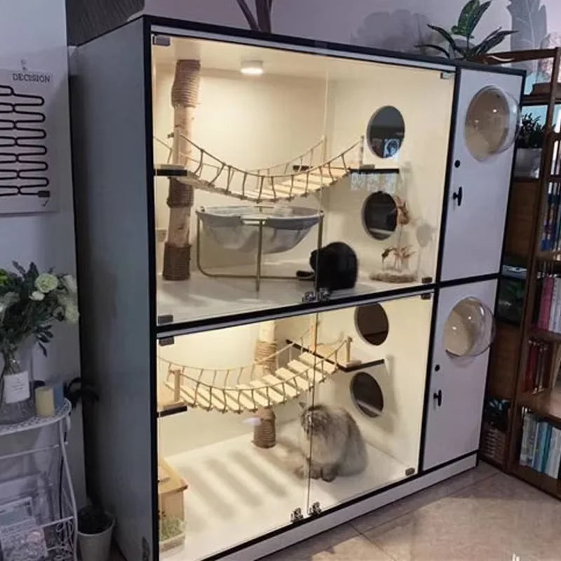 Cat Bridge