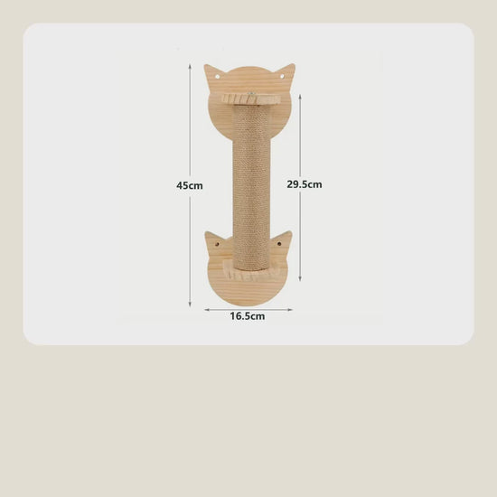 Vertical scratching post video