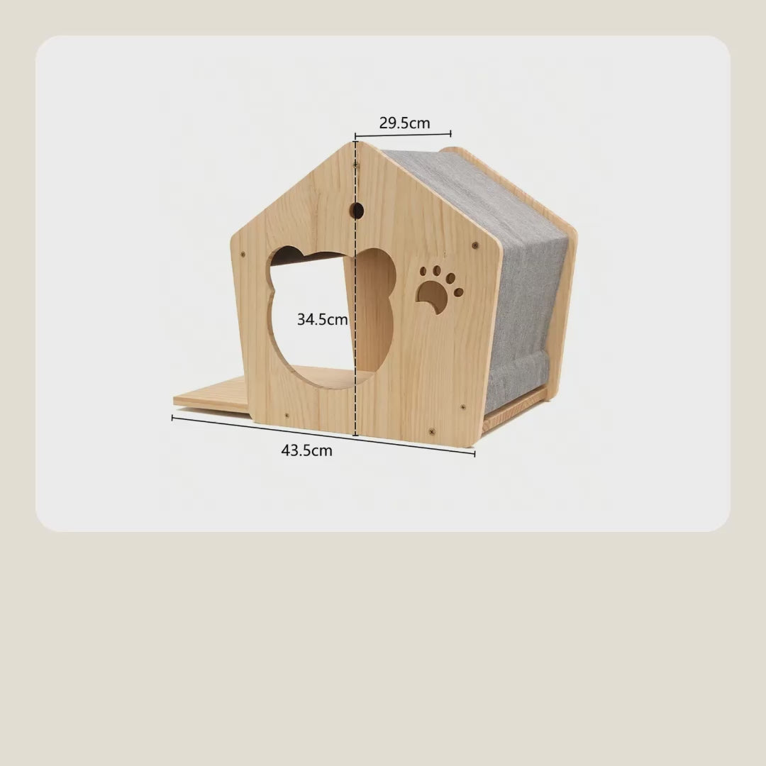 Cat house video