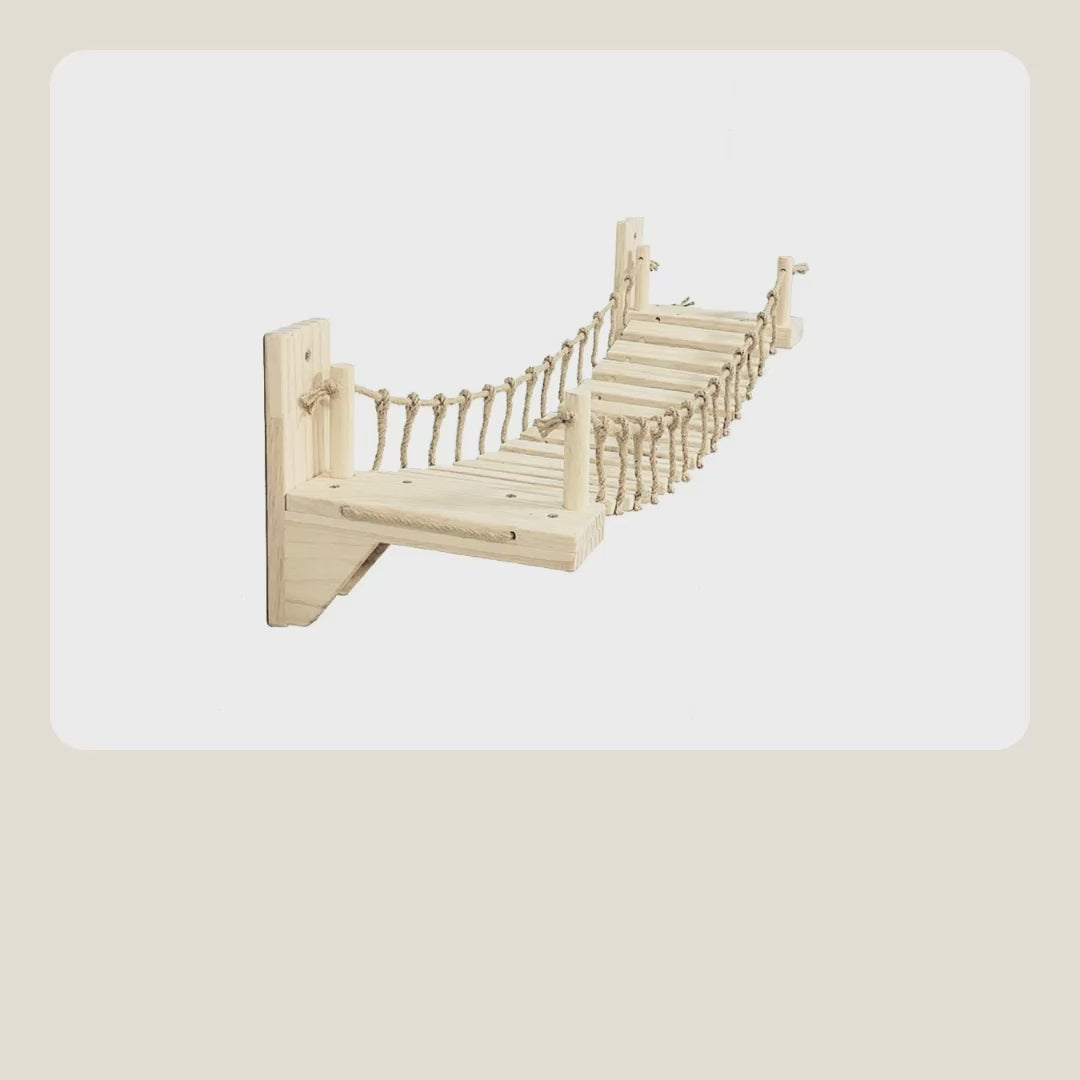 Cat bridge video