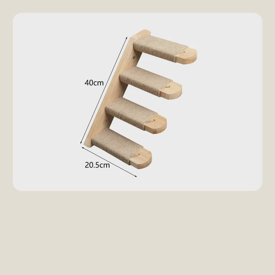 Cat stairs video
