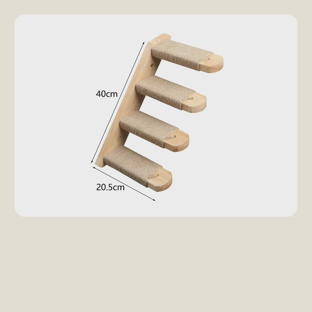 Cat stairs video