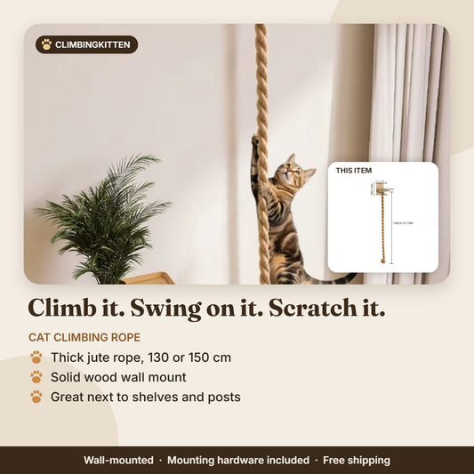Wall-mounted cat climbing rope